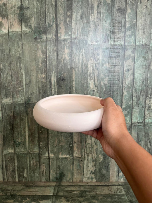 Pasta Plate